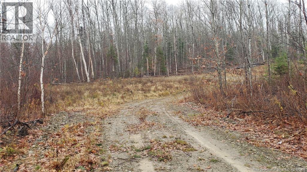 . Urney Road, Waterford, New Brunswick  E4E 5A4 - Photo 14 - NB129948