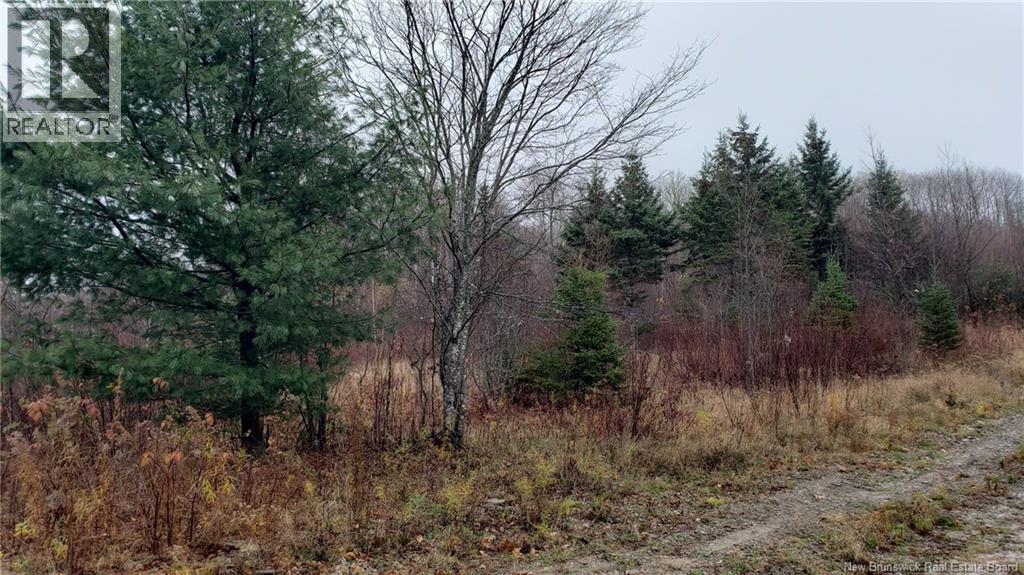 . Urney Road, Waterford, New Brunswick  E4E 5A4 - Photo 8 - NB129948