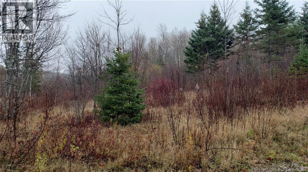 . Urney Road, Waterford, New Brunswick  E4E 5A4 - Photo 9 - NB129948