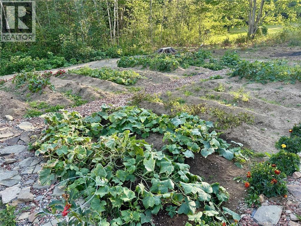 7781 Rte 117, Black River Bridge, New Brunswick  E1N 5K7 - Photo 35 - NB129901