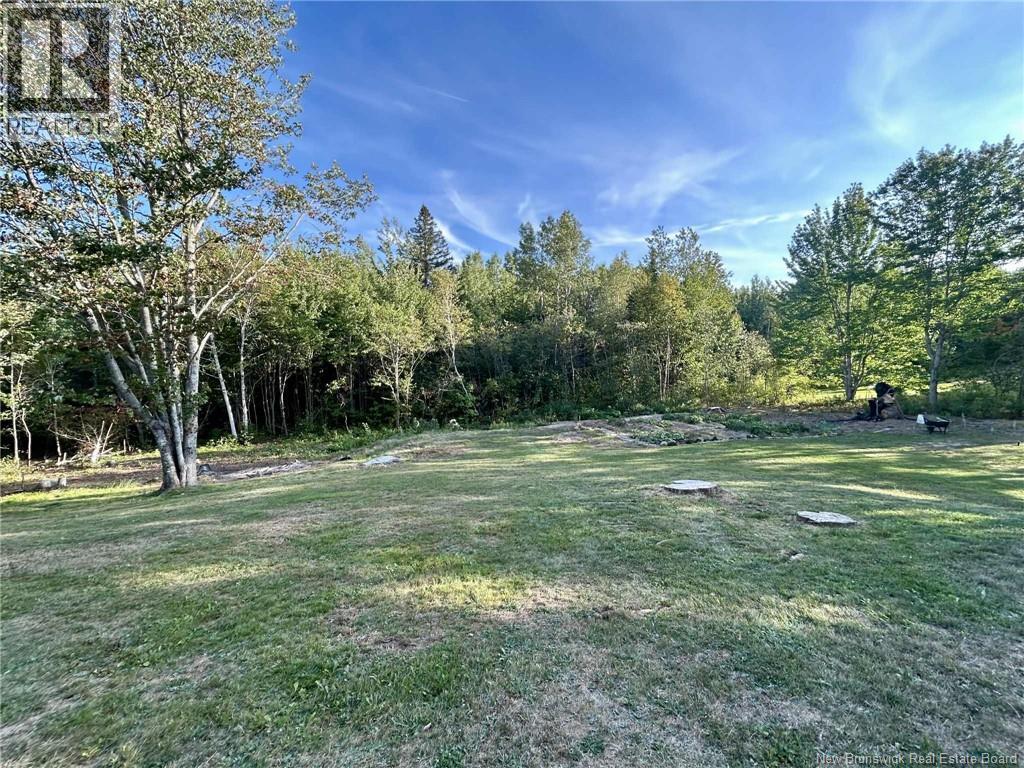 7781 Rte 117, Black River Bridge, New Brunswick  E1N 5K7 - Photo 36 - NB129901