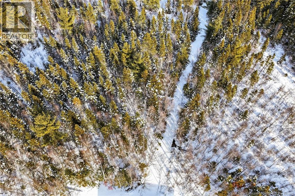 82 Maefield Street, Lower Coverdale, New Brunswick E1J 0E7 - Photo 46 - NB129991