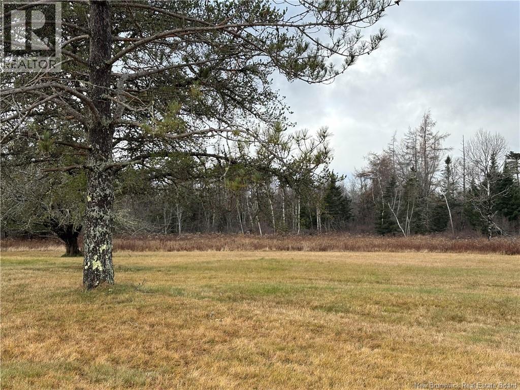 177 Manor Rd, St George, New Brunswick E5C 1M1 - Photo 3 - NB129985