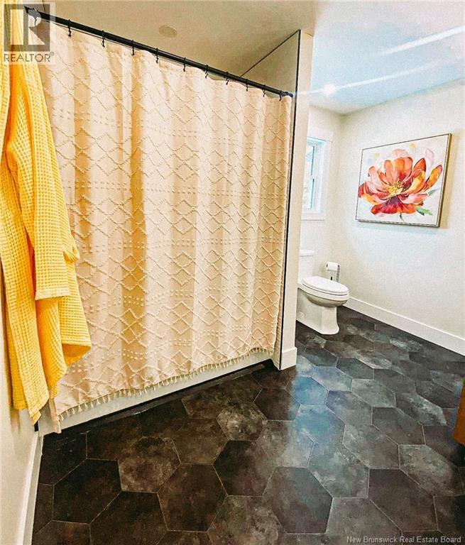 1038 Route 425 Highway, Whitney, New Brunswick  E1V 4K8 - Photo 24 - NB129930