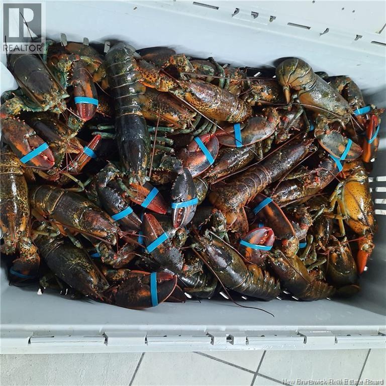 26 Bridge, Sackville, New Brunswick  E4L 3N5 - Photo 47 - NB130034