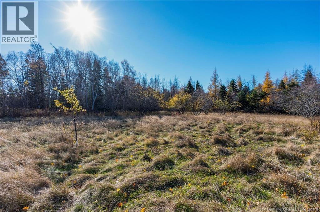 285 Immigrant Road, Cape Tormentine, New Brunswick E4M 4A4 - Photo 37 - NB130031