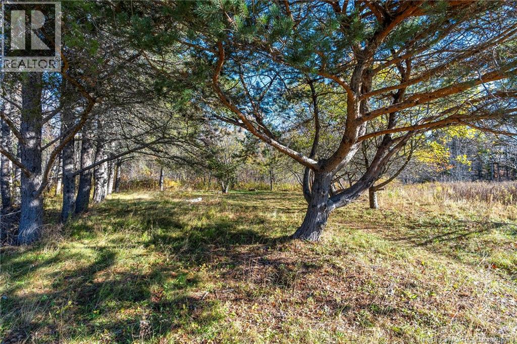 285 Immigrant Road, Cape Tormentine, New Brunswick E4M 4A4 - Photo 39 - NB130031