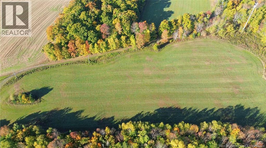 1115 560 Route, Jacksontown, New Brunswick  E7M 3L5 - Photo 13 - NB130044