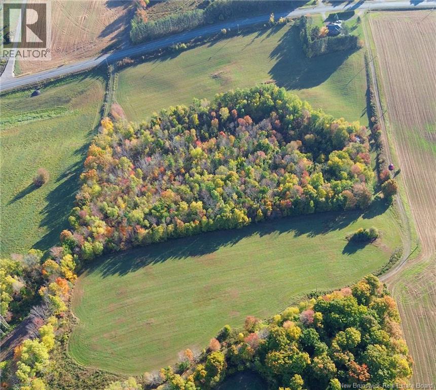 1115 560 Route, Jacksontown, New Brunswick  E7M 3L5 - Photo 19 - NB130044