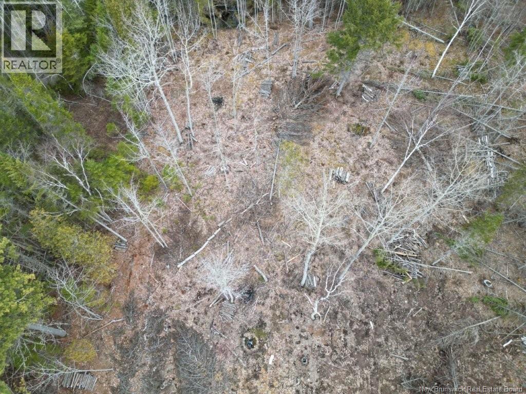 Lot 2022-2 Rte Hwy 105, Mill Cove, New Brunswick  E4C 3B2 - Photo 3 - NB130051