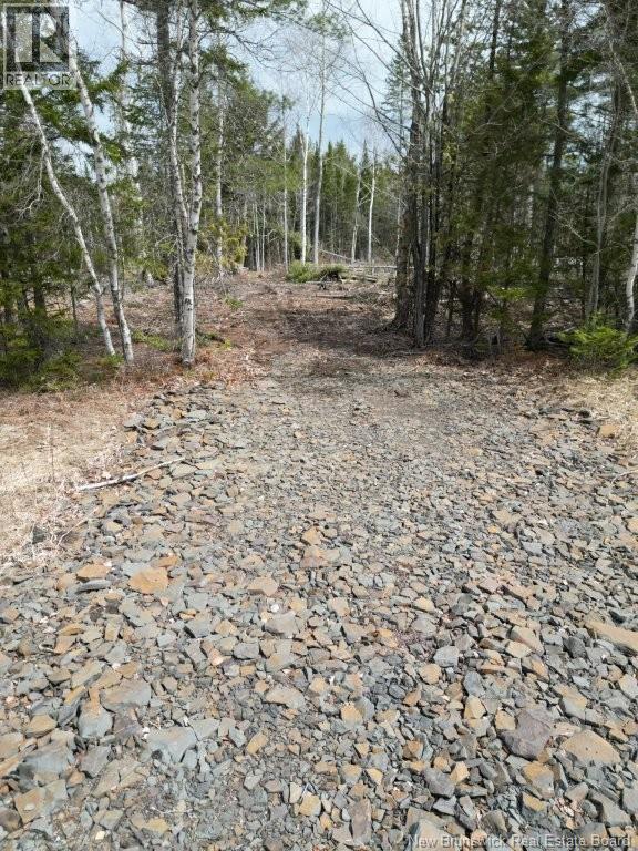 Lot 2022-2 Rte Hwy 105, Mill Cove, New Brunswick  E4C 3B2 - Photo 9 - NB130051