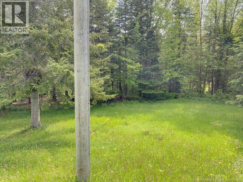 149 Beaulieu Road Unit# A-B, Saint-François-De-Madawaska, New Brunswick E7A 1A2 - Photo 10 - NB130032