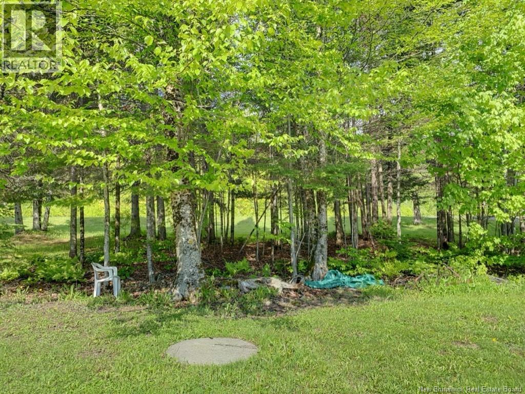 149 Beaulieu Road Unit# A-B, Saint-François-De-Madawaska, New Brunswick E7A 1A2 - Photo 8 - NB130032
