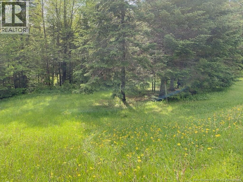 149 Beaulieu Road Unit# A-B, Saint-François-De-Madawaska, New Brunswick E7A 1A2 - Photo 9 - NB130032