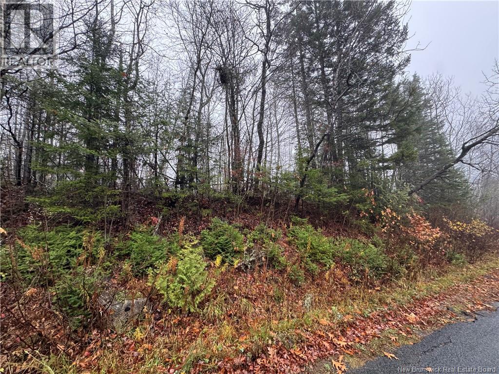 25-01 St. David Ridge Road, Oak Bay, New Brunswick