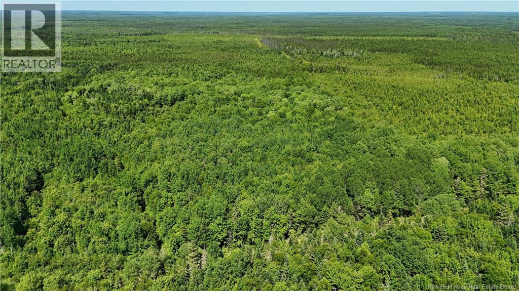 Lot Cormier Village Road, Saint-Paul, New Brunswick E4T 3H3 - Photo 14 - NB130079
