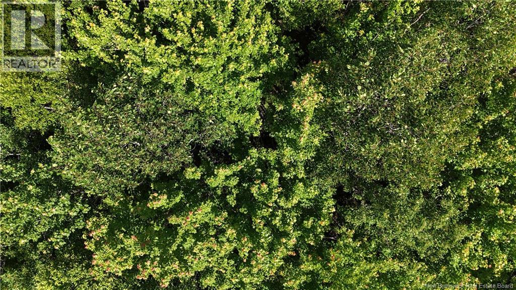Lot Cormier Village Road, Saint-Paul, New Brunswick E4T 3H3 - Photo 15 - NB130079