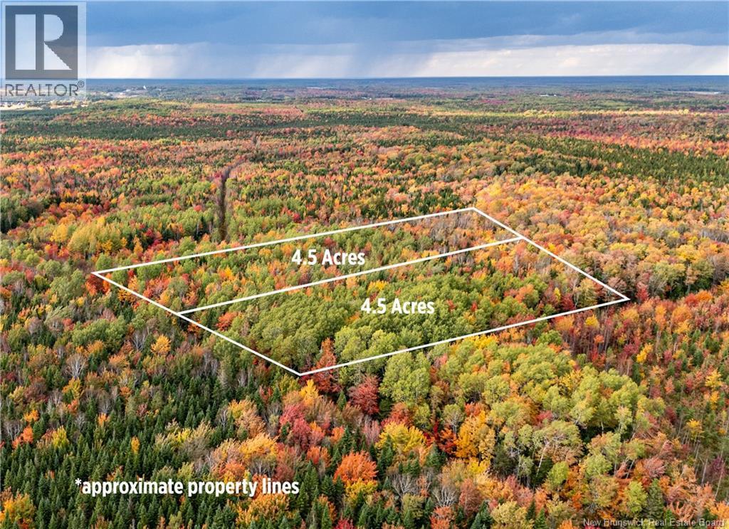 Lot Cormier Village Road, Saint-Paul, New Brunswick E4T 3H3 - Photo 4 - NB130079