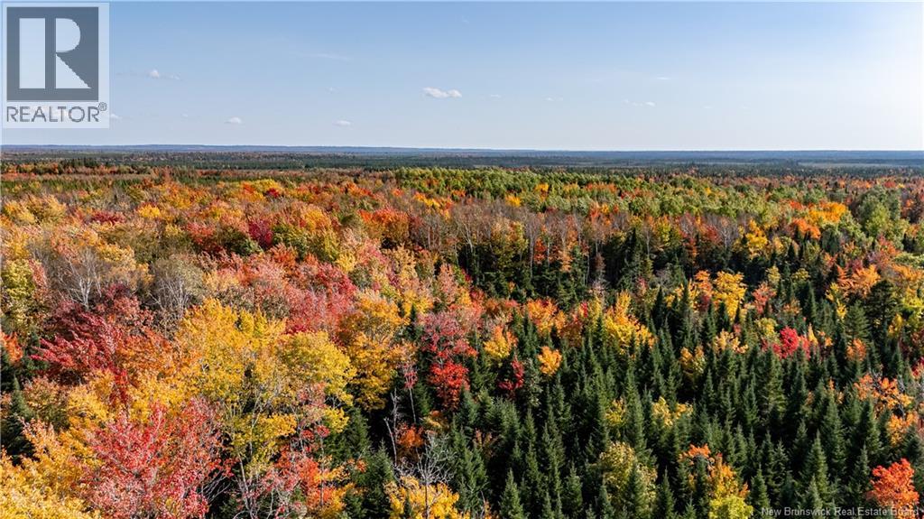 Lot Cormier Village Road, Saint-Paul, New Brunswick E4T 3H3 - Photo 8 - NB130079