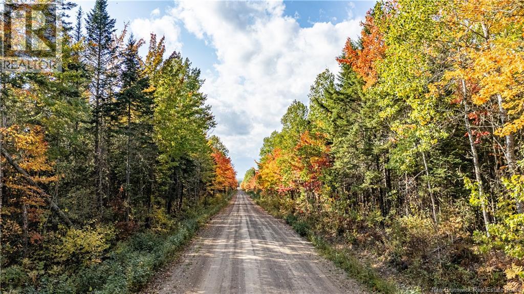 Lot Cormier Village Road, Saint-Paul, New Brunswick E4T 3H3 - Photo 9 - NB130079