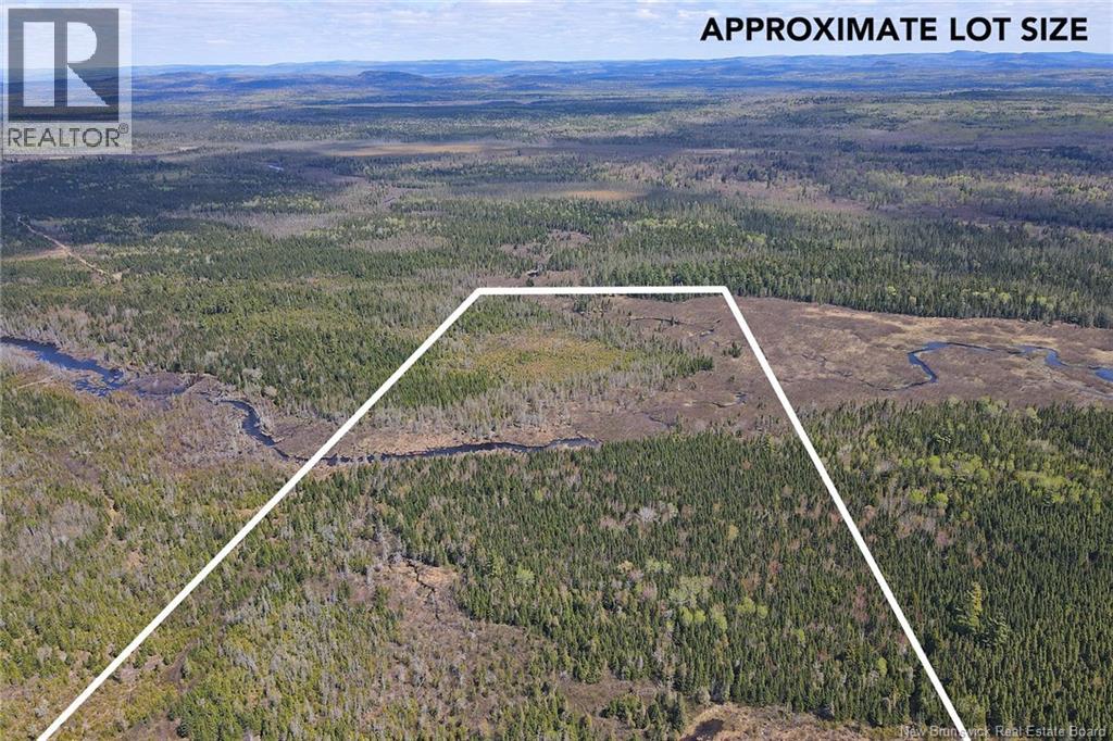 Lot Route 585, Clarkville, New Brunswick E6E 1P5 - Photo 3 - NB130088