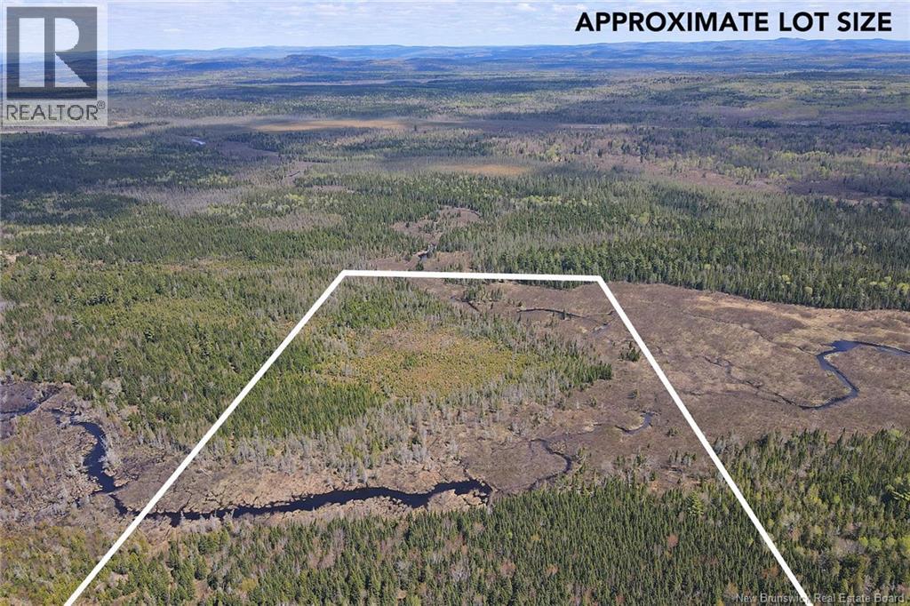 Lot Route 585, Clarkville, New Brunswick E6E 1P5 - Photo 4 - NB130088