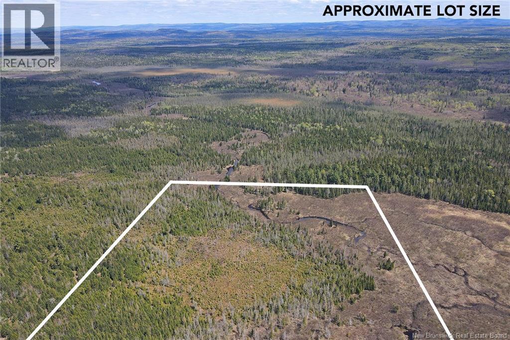 Lot Route 585, Clarkville, New Brunswick E6E 1P5 - Photo 5 - NB130088