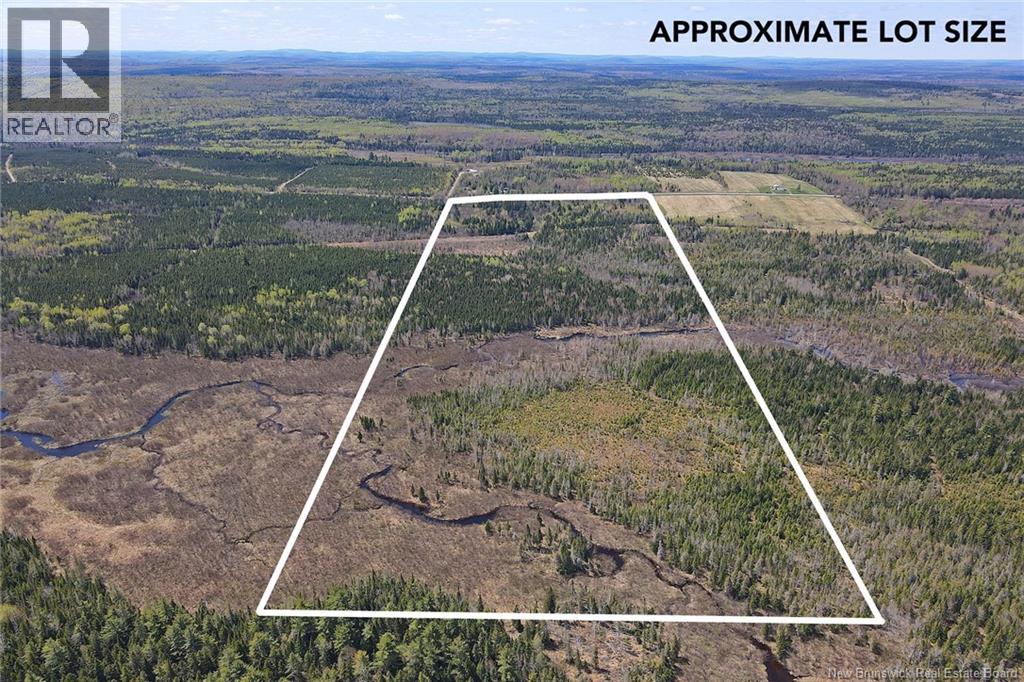 Lot Route 585, Clarkville, New Brunswick E6E 1P5 - Photo 6 - NB130088
