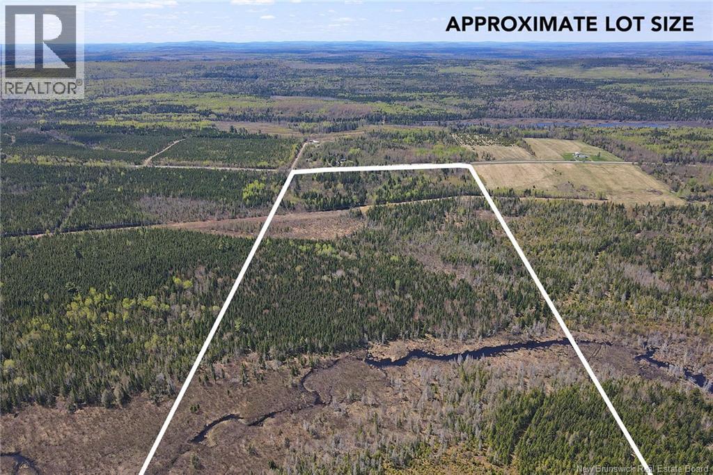 Lot Route 585, Clarkville, New Brunswick E6E 1P5 - Photo 7 - NB130088