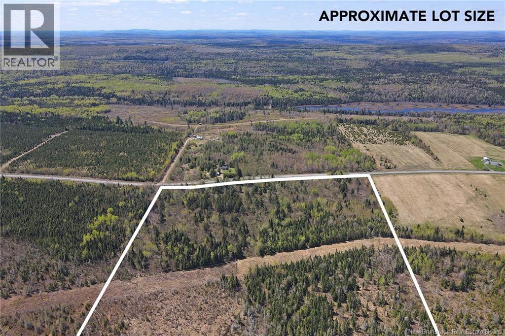 Lot Route 585, Clarkville, New Brunswick E6E 1P5 - Photo 9 - NB130088