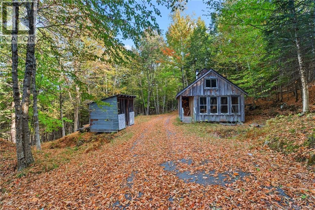 211 Jackson Road, Keswick Ridge, New Brunswick E6L 1V6 - Photo 42 - NB128737