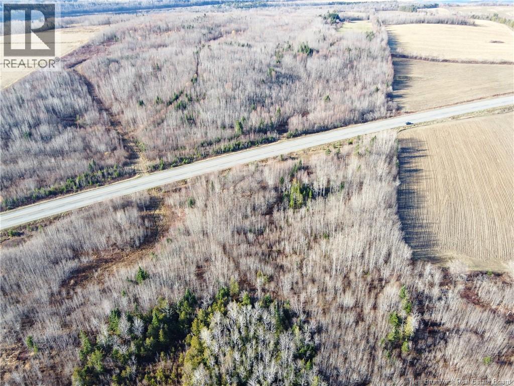 Lot Route 130, Oakland, New Brunswick E7L 0G4 - Photo 8 - NB130102