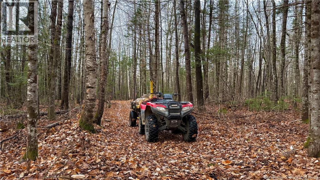 293 Ch Collette, Collette, New Brunswick E4Y 1J3 - Photo 40 - NB129736