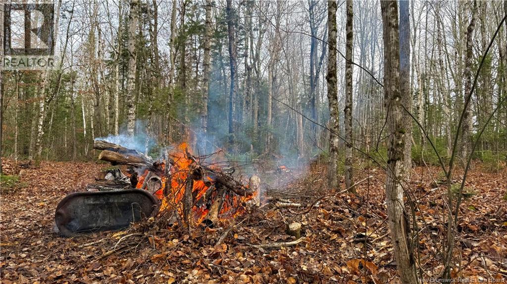 293 Ch Collette, Collette, New Brunswick E4Y 1J3 - Photo 41 - NB129736