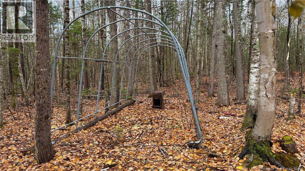 293 Ch Collette, Collette, New Brunswick E4Y 1J3 - Photo 42 - NB129736