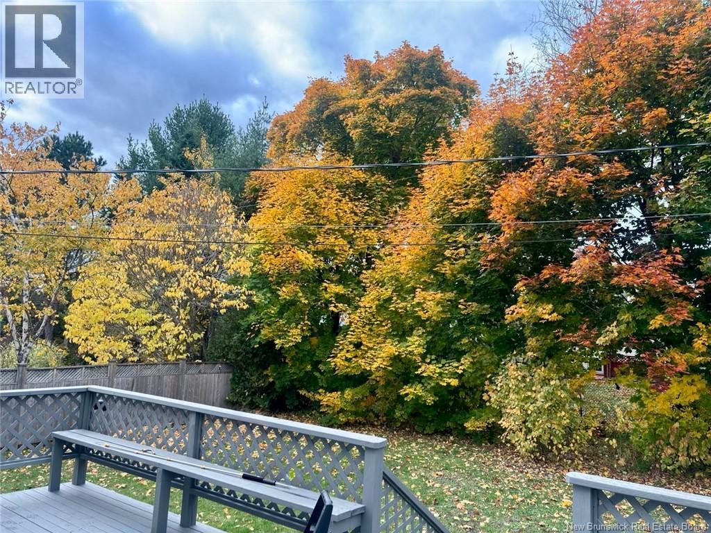 45 Cabot Drive, Moncton, New Brunswick  E1A 5K8 - Photo 37 - NB130045