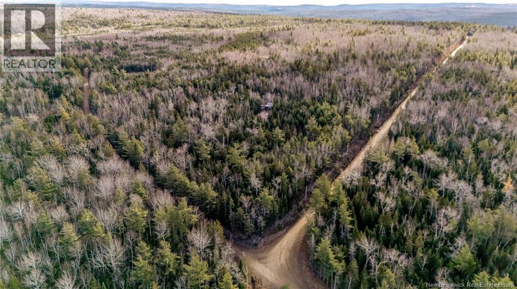 17 Deerwood Drive, Elgin, New Brunswick E4Z 1S3 - Photo 11 - NB130135