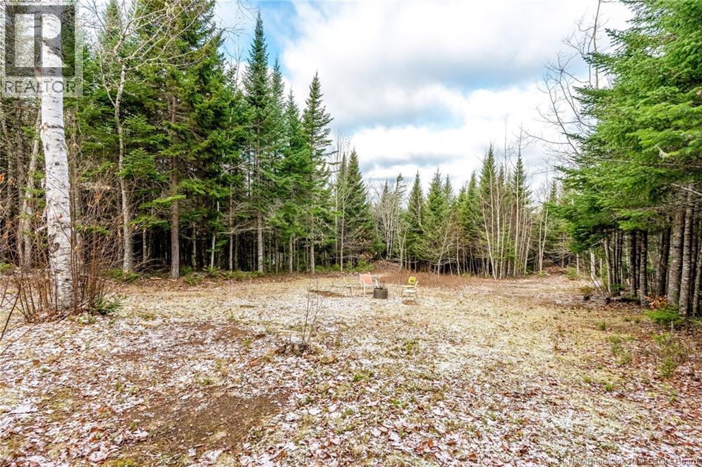 17 Deerwood Drive, Elgin, New Brunswick E4Z 1S3 - Photo 26 - NB130135