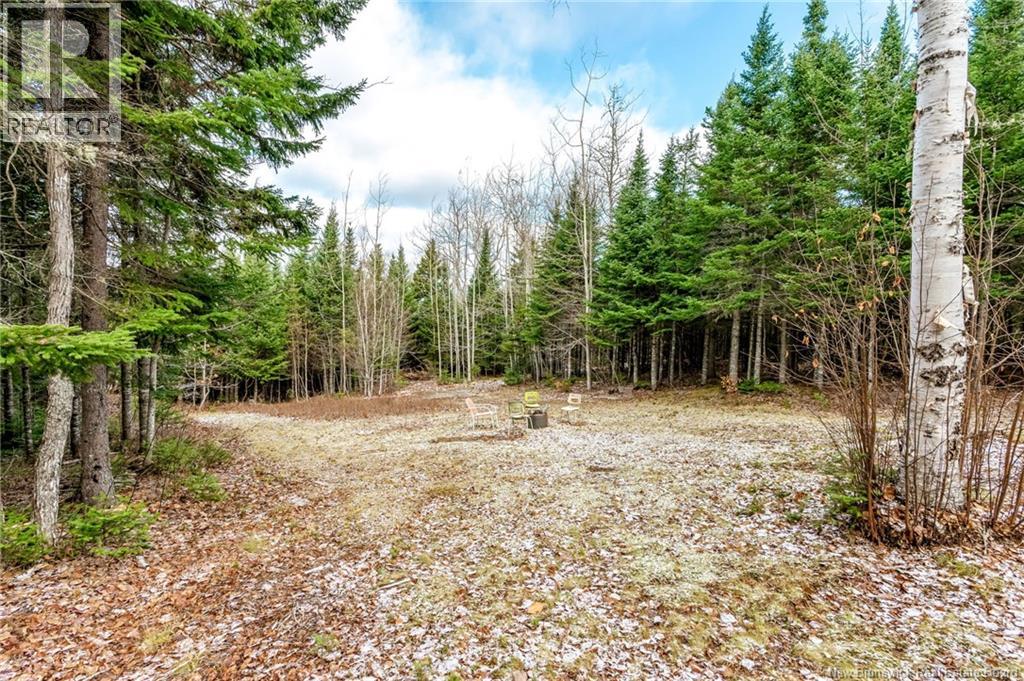 17 Deerwood Drive, Elgin, New Brunswick E4Z 1S3 - Photo 27 - NB130135