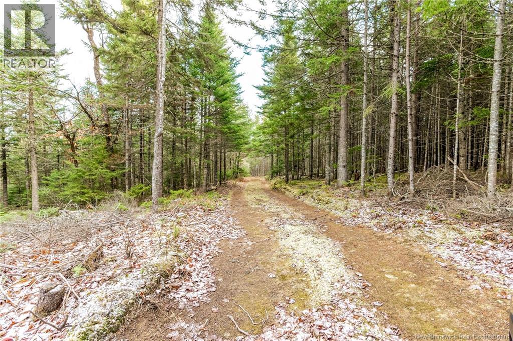 17 Deerwood Drive, Elgin, New Brunswick E4Z 1S3 - Photo 28 - NB130135