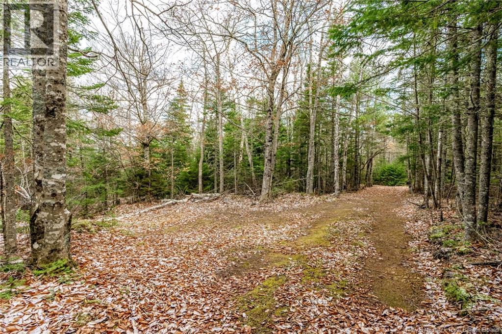 17 Deerwood Drive, Elgin, New Brunswick E4Z 1S3 - Photo 29 - NB130135