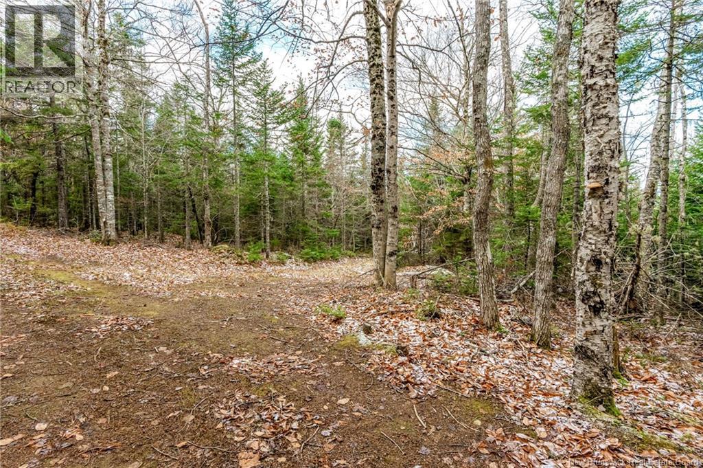 17 Deerwood Drive, Elgin, New Brunswick E4Z 1S3 - Photo 30 - NB130135