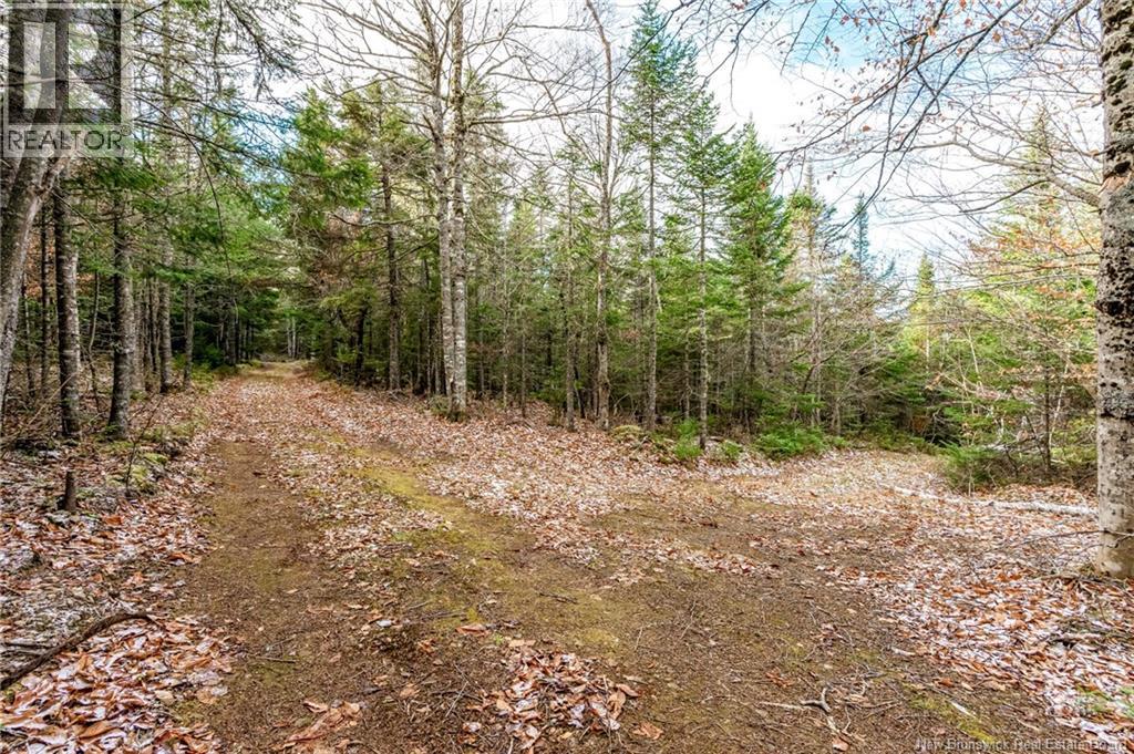 17 Deerwood Drive, Elgin, New Brunswick E4Z 1S3 - Photo 31 - NB130135