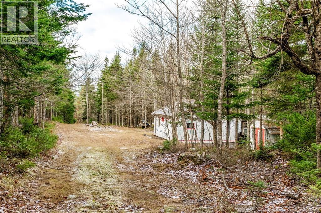 17 Deerwood Drive, Elgin, New Brunswick E4Z 1S3 - Photo 32 - NB130135