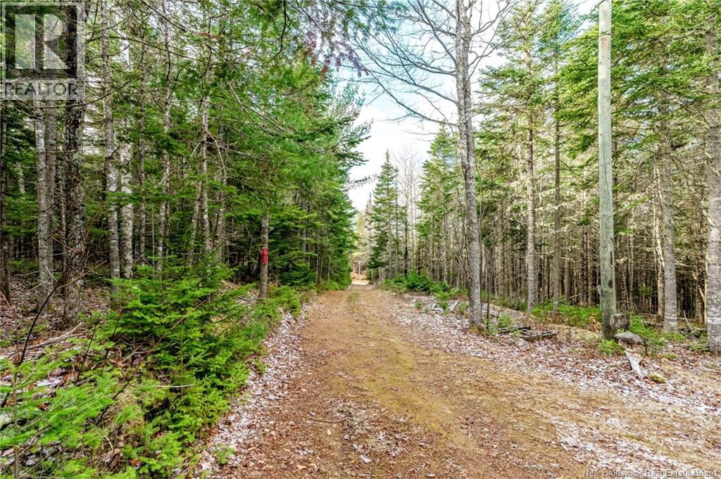 17 Deerwood Drive, Elgin, New Brunswick E4Z 1S3 - Photo 35 - NB130135