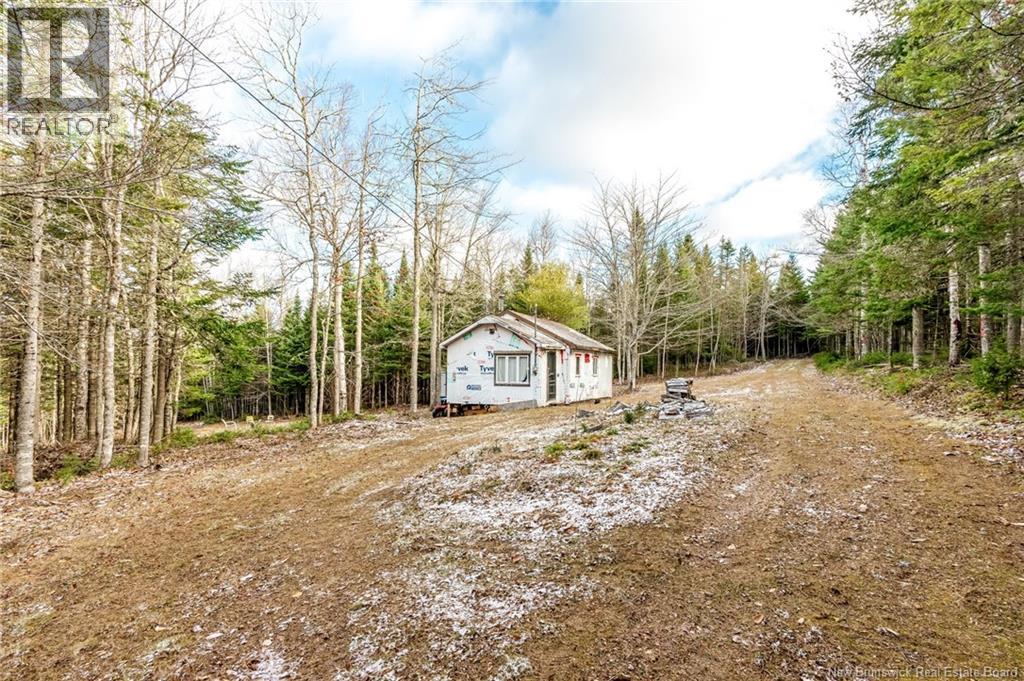 17 Deerwood Drive, Elgin, New Brunswick E4Z 1S3 - Photo 36 - NB130135