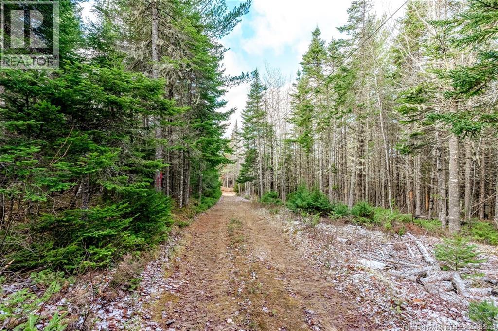 17 Deerwood Drive, Elgin, New Brunswick E4Z 1S3 - Photo 37 - NB130135