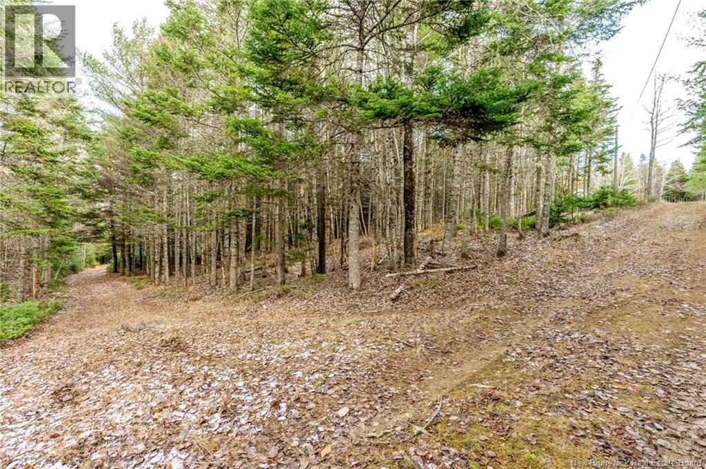 17 Deerwood Drive, Elgin, New Brunswick E4Z 1S3 - Photo 38 - NB130135