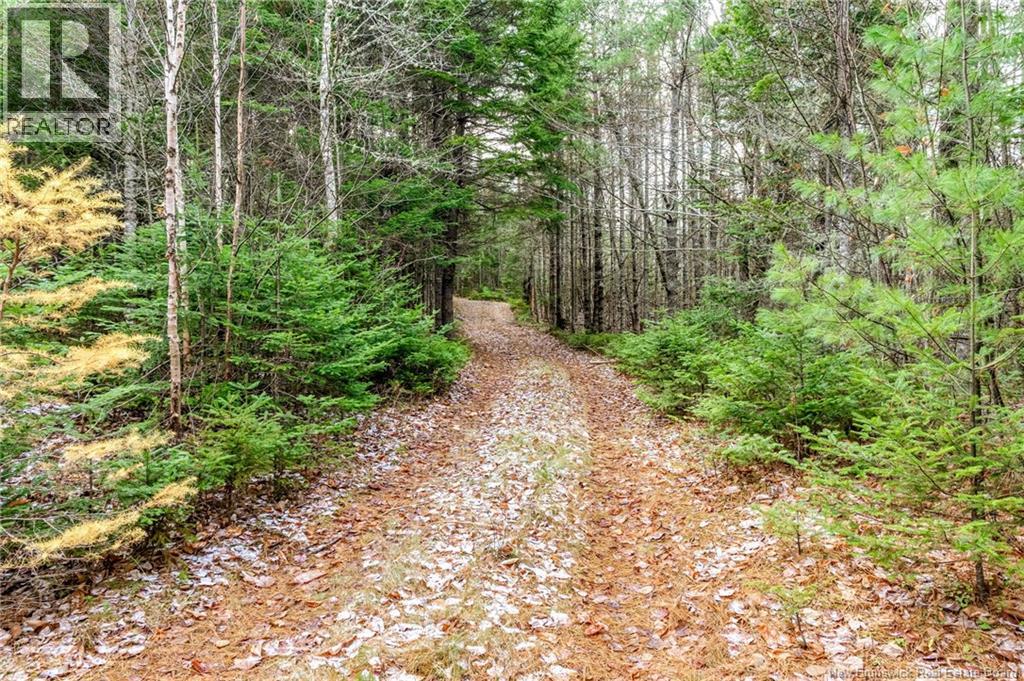 17 Deerwood Drive, Elgin, New Brunswick E4Z 1S3 - Photo 39 - NB130135