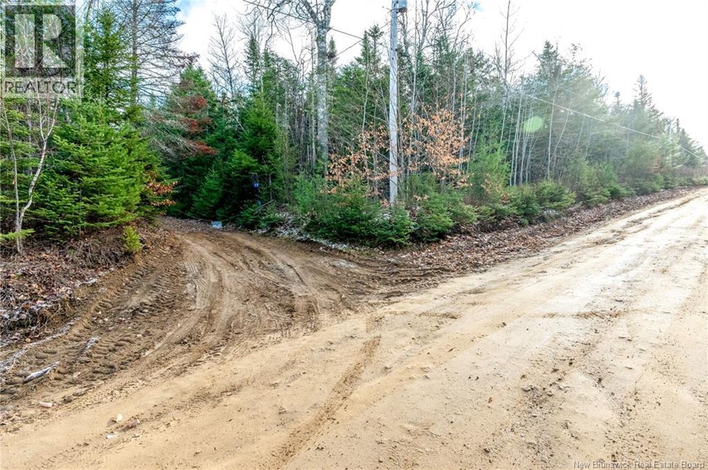 17 Deerwood Drive, Elgin, New Brunswick E4Z 1S3 - Photo 41 - NB130135